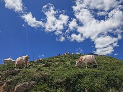 -五台山风景名胜区