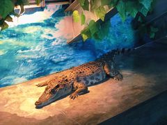 -成都浩海立方海洋公园