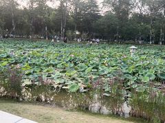 -咸阳湖景区-统一广场