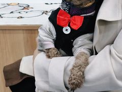 -瑞鹏宠物医院·爱宠堂·骨外专科(西荷分院)