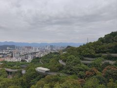 -福道