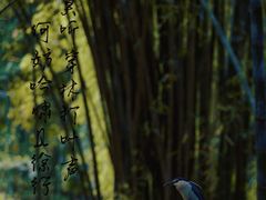 -望江楼公园