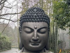 -杭州植物园