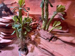 -Zoolung Zoolung动物主题公园(海信广场店)