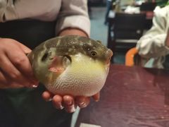 -永安鱼庄·镇江菜(东吴路店)