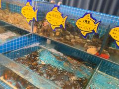 -韩记海鲜饺子旗舰店(红海新区店)