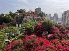 -仙岳公园