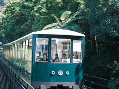 -太平山顶