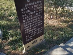 -丰台花园