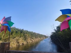 -黄海国家森林公园