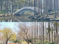 -大宁公园