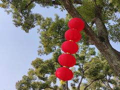 -苏州上方山国家森林公园