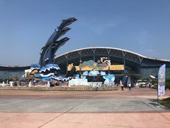 -泉城欧乐堡海洋极地世界