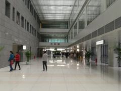 -北京协和医院(东单院区)