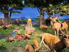 -国家自然博物馆