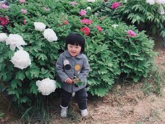 -石家庄市动物园