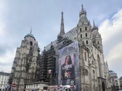 -斯蒂芬主教座堂(Stephansdom)
