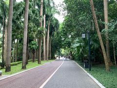 -广西医科大学第一附属医院