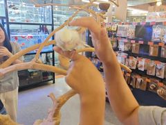 -宠物世家(仲盛世界商城店)