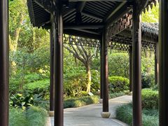 -杭州西子湖四季酒店-WL BISTRO西湖餐厅(灵隐路店)