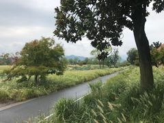 -良渚古城遗址公园