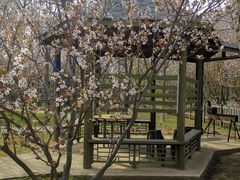 -杨柳青庄园