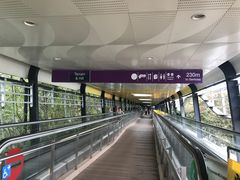 -圣淘沙Express捷运Sentosa站