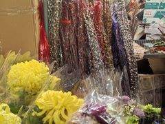 -越秀西湖花市(广州城市广场花卉店)