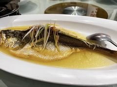 奇妙三豉酱蒸鲟龙鱼-万龙洲海鲜(广渠门店)