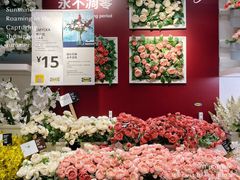 -宜家家居(高新商场店)