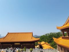 -深圳仙湖植物园