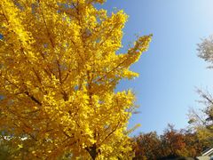 -丹东市五龙山风景区