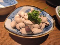 -鸟屯(三里屯店)