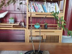 -韬光茶庵