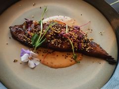 -Hi City·城市之巅