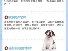 -爱侣宠医·鹦鹉专科·小型哺乳类·异宠专科(灵石路店)