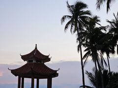 -东郊椰林