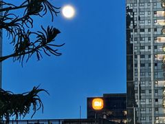 -深圳湾万象城(南山店)