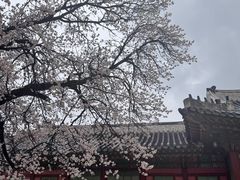 -景福宫