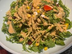 罗马大拌菜-红菜坊·烤鸭·川鲁菜(杨镇店)