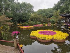 -汇龙潭