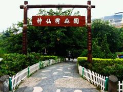 -神仙树公园
