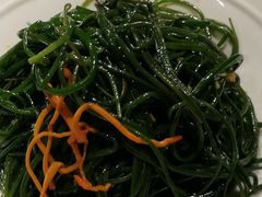 -蒙古大营(朝阳公园店)