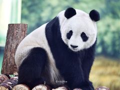 -天津市动物园