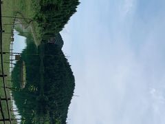 -武陵山森林公园