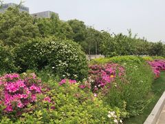 -尚贤河湿地