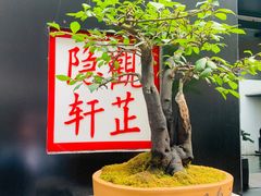 -觀芷隐轩