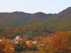 -塔川景区