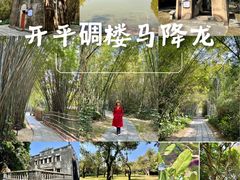 -开平碉楼文化旅游区马降龙景区