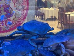-乾隆美食·本帮菜(黄河路店)